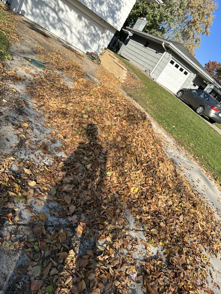Recent SOTA Lawn project