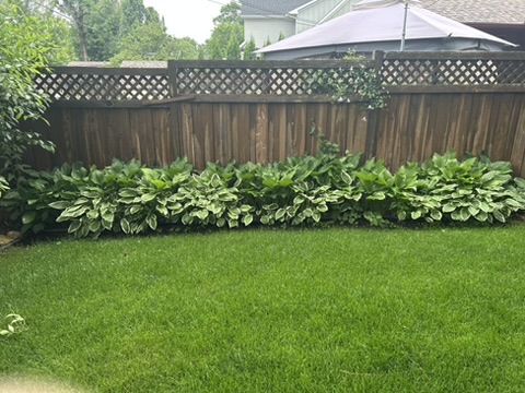 Weeding example