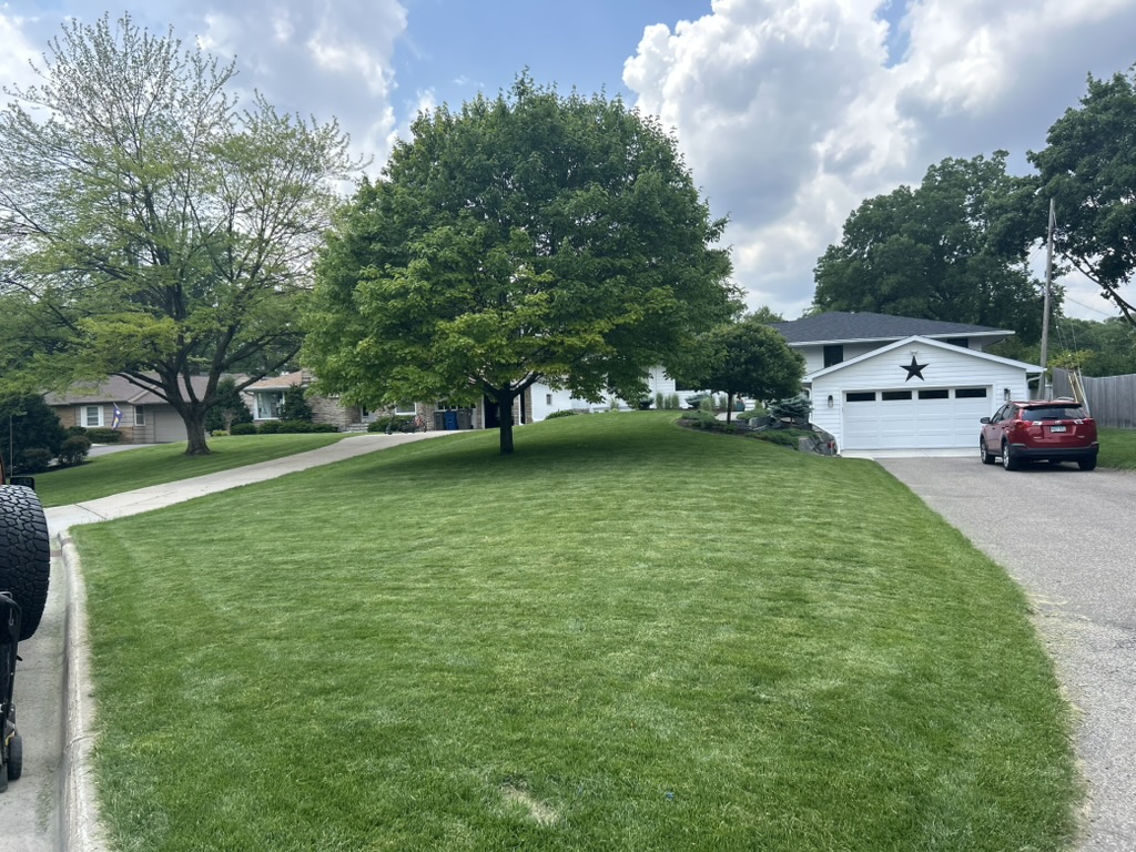 Recent SOTA Lawn project