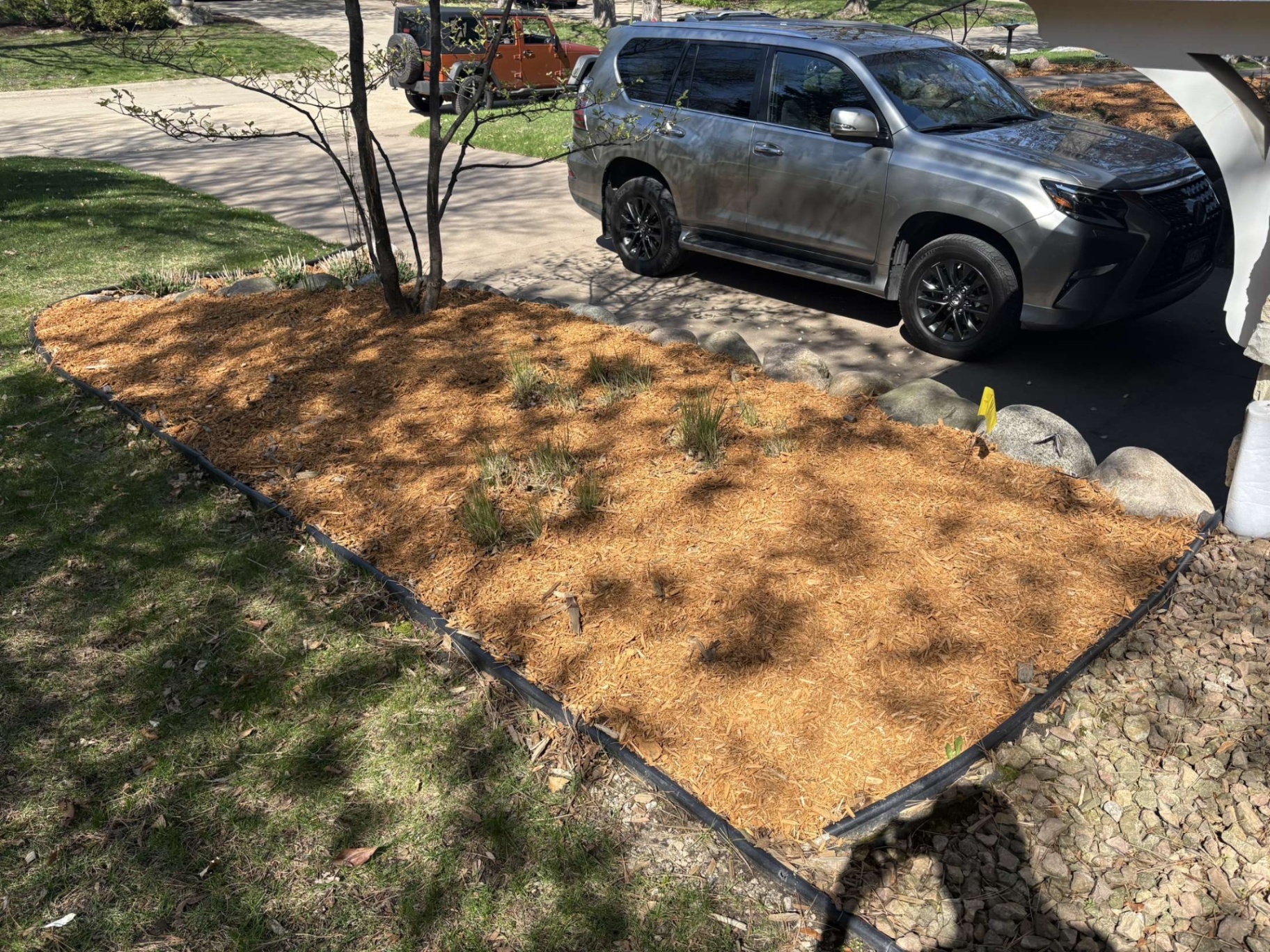 Recent SOTA Lawn project