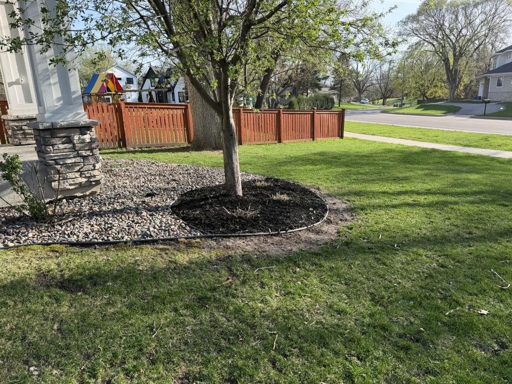 Fresh mulch ring around a front-yard tree with clean edging