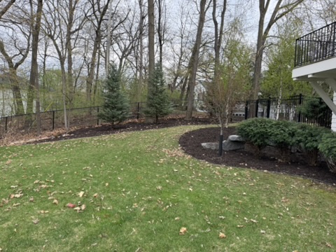 Curved mulch bed line along a backyard lawn