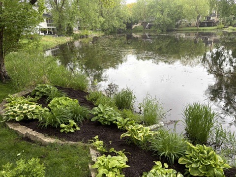 Recent SOTA Lawn project